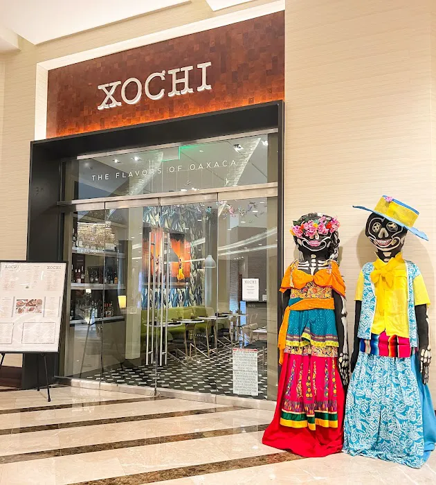Xochi Picture 9