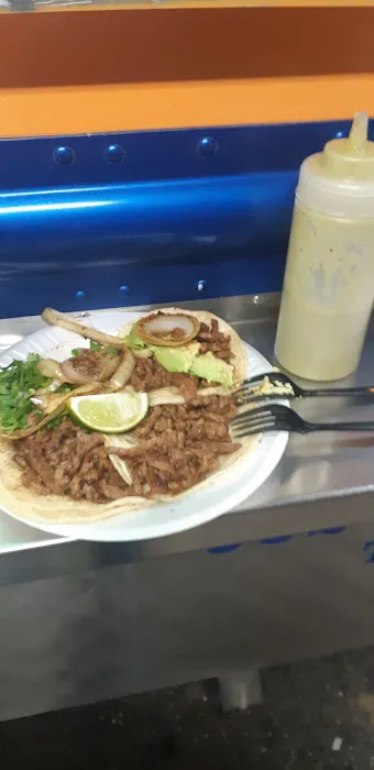 Taqueria El Yucateco Picture 5