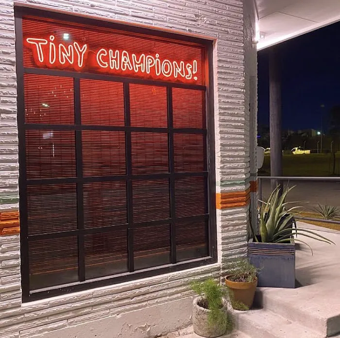 Tiny Champions Picture 1