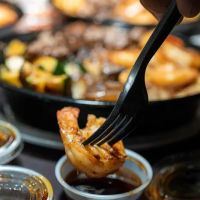 H-Town Hibachi ico