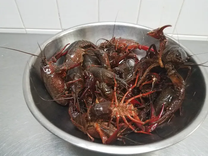 Hank's Fish Market Picture 8
