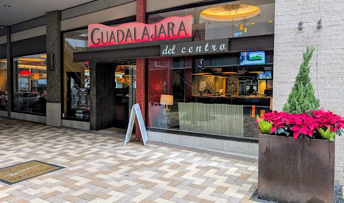 Guadalajara Del Centro Picture 3