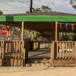Earline's Soul Food & More