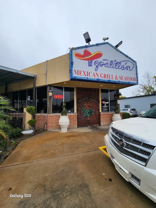 Tepatitlan Mexican Grill Picture 1
