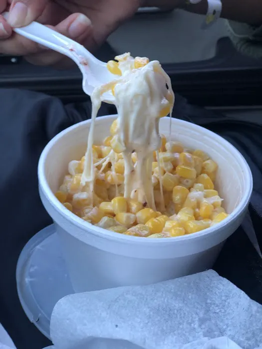 Armadillo Snow Cones Picture 9