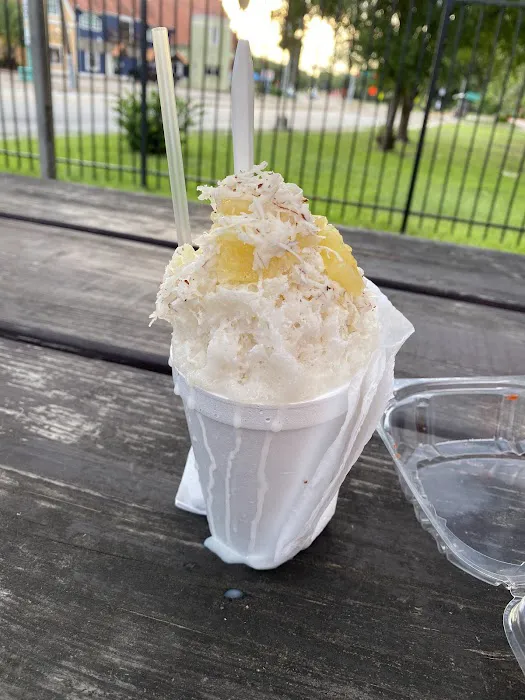 Armadillo Snow Cones Picture 6