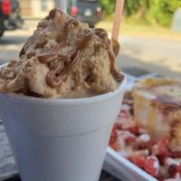 Armadillo Snow Cones ico