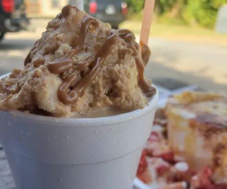 Armadillo Snow Cones