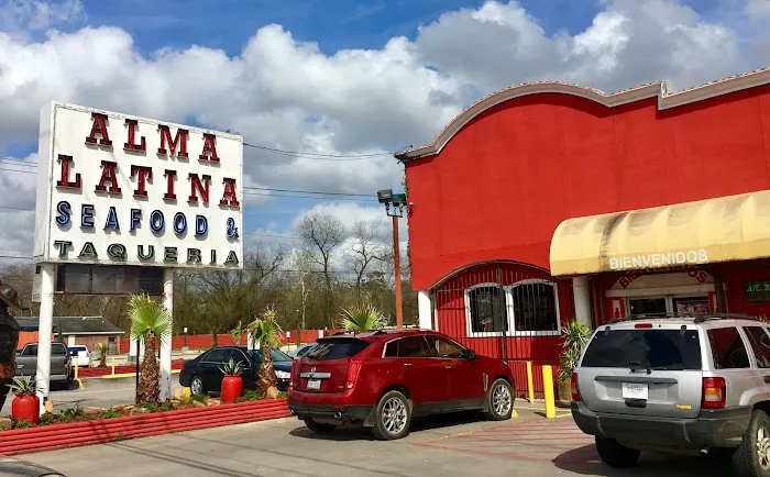 Alma Latina Picture 9