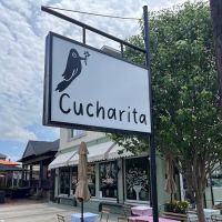 Cucharita ico