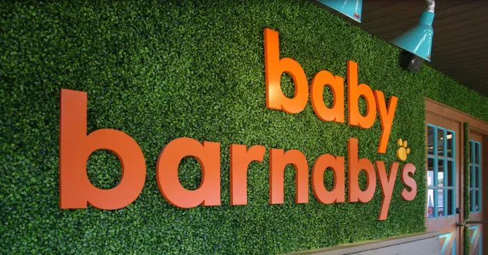 Baby Barnaby's Picture 9