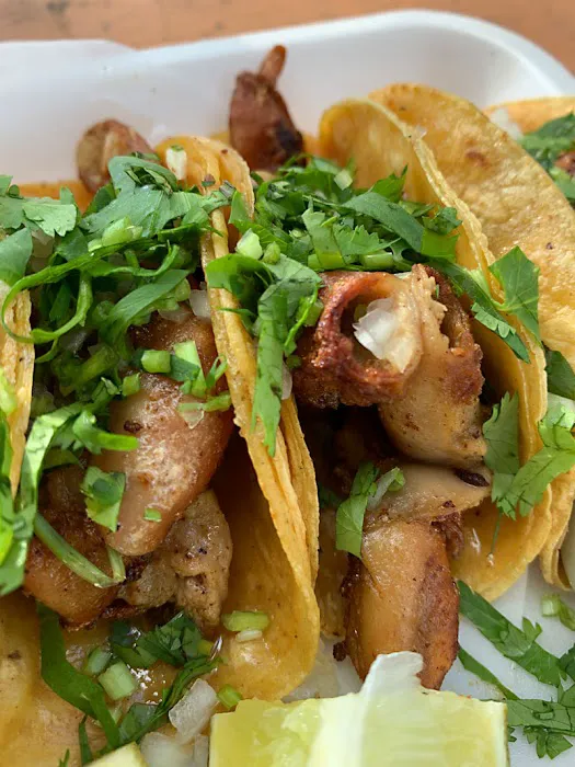 Taqueria El Guayin Picture 7