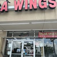 USA Wings ico