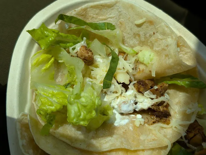 Chipotle Mexican Grill Picture 6