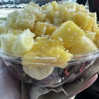 No Forks Acai ico
