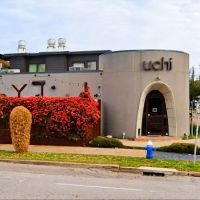 Uchi Houston ico