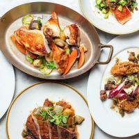 Brasserie 19 ico