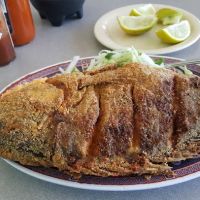 Mi Cocina Mexicana ico
