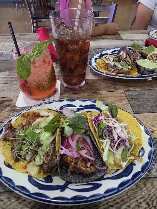 El Pari Sport Bar & Grill Picture 9