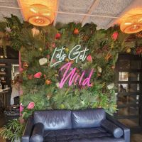 Wild ico