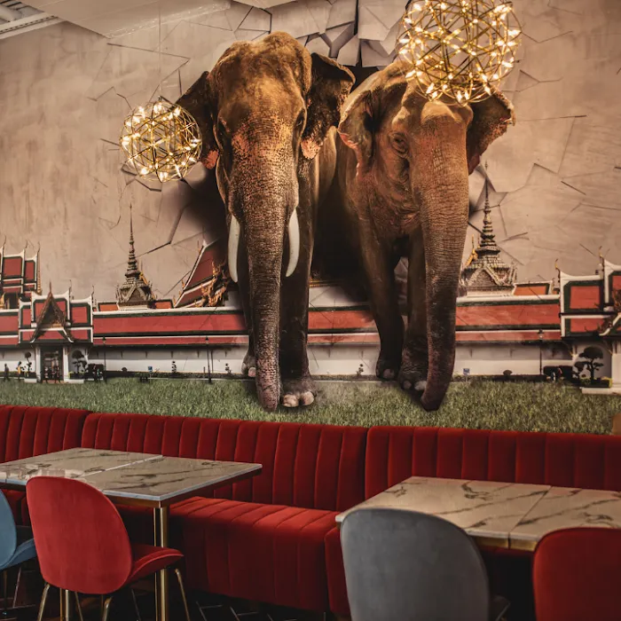 Kin Dee Thai Cuisine Picture 6