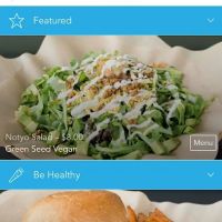 green seed vegan ico