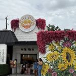 The Sunrise House