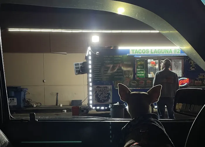Tacos Laguna (Food Truck) Picture 8