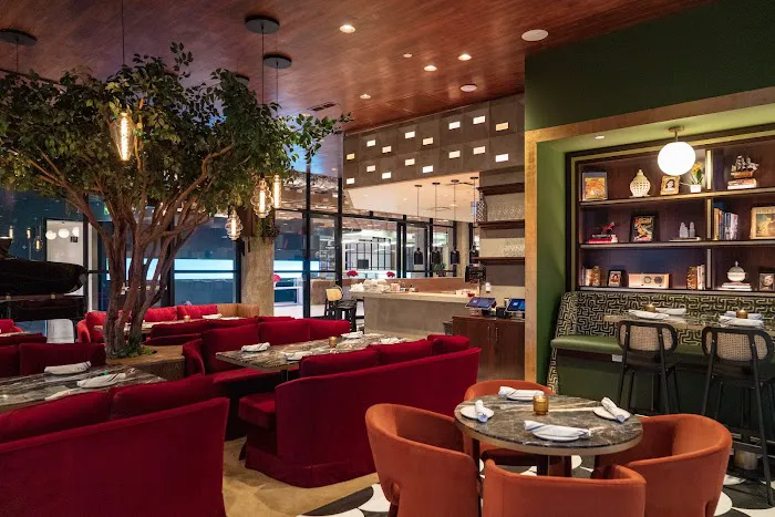 The Lymbar Picture 6