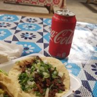 Crazy Taco ico