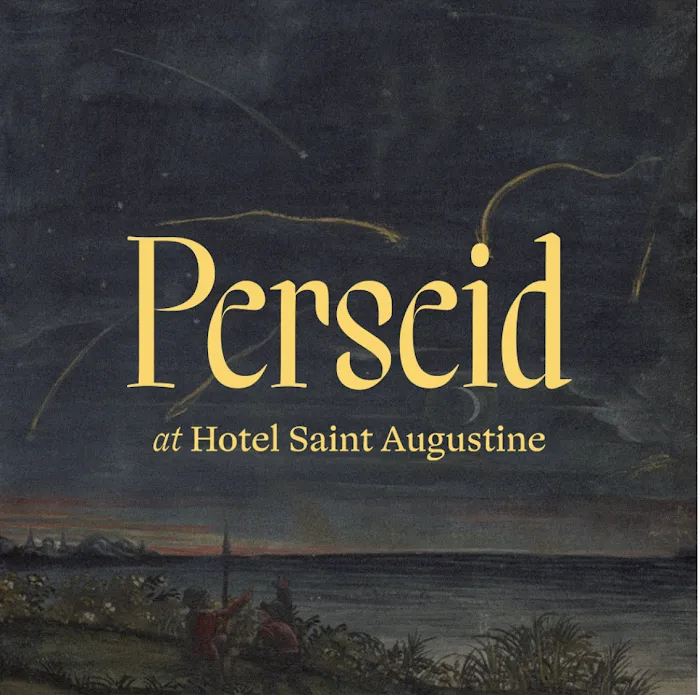 Perseid Picture 10