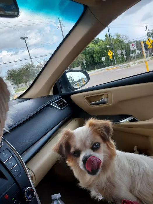 Sonic Drive-In Picture 9