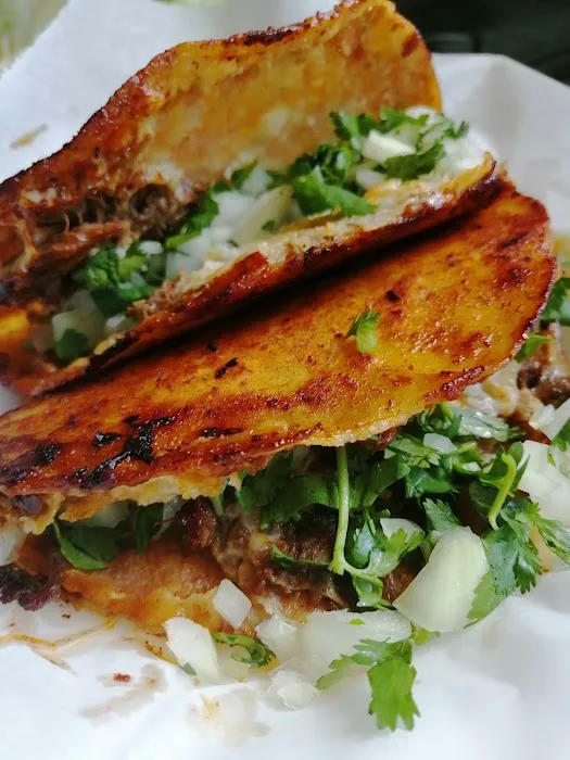 Taqueria El Buen Sabor Picture 4
