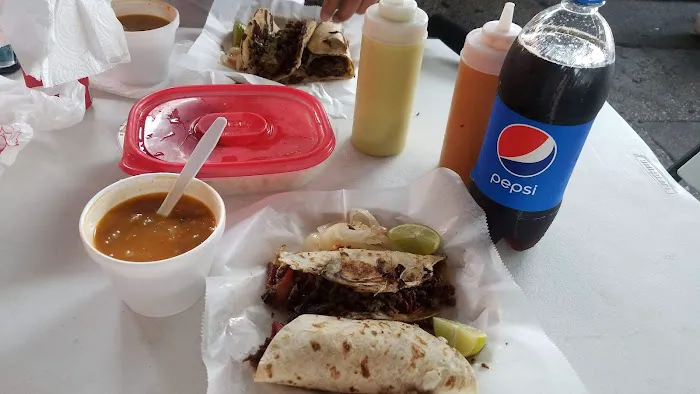 Tacos Regios El Coquis 59 Picture 5