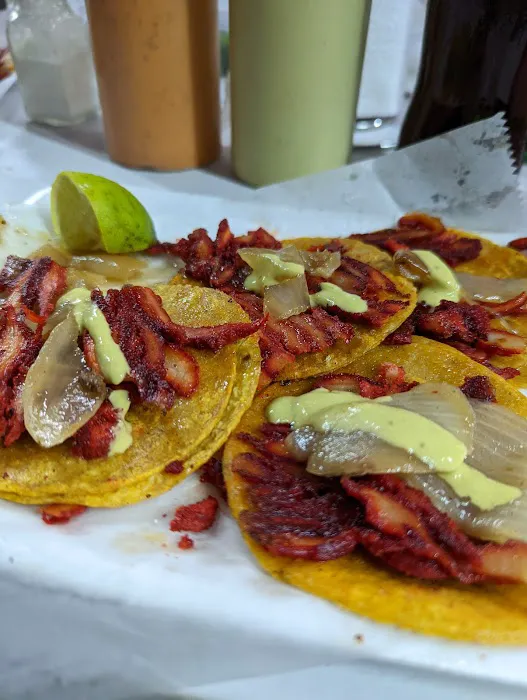 Tacos Regios El Coquis 59 Picture 10