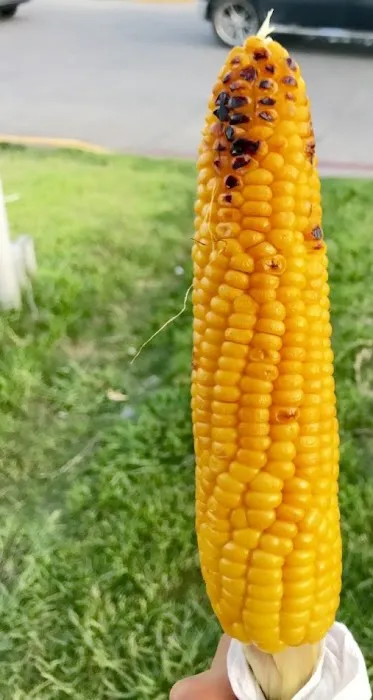T.M Elotes Asados (food truck) Picture 5