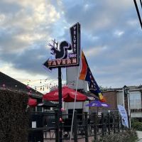 Velvet Oak Tavern ico