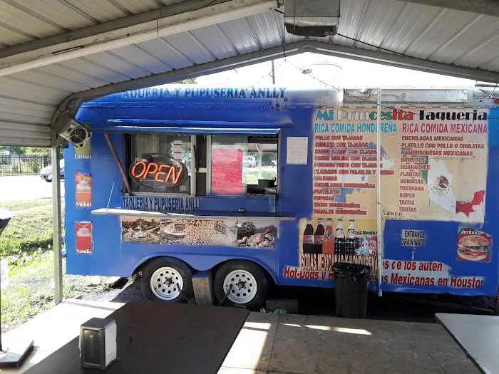 Mi Princesita Taqueria (Food Truck) Picture 13