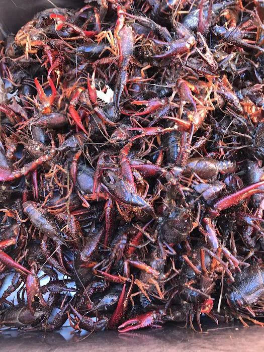 Craven Crawfish Picture 6