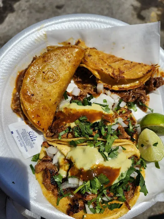Taqueria Beto Picture 7