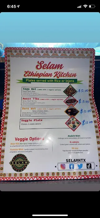 Selam Ethiopian Kitchen (Food Truck) Picture 6