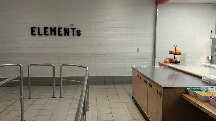 Elements Grill Picture 7