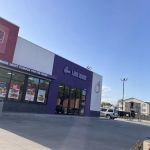 Jack in the Box