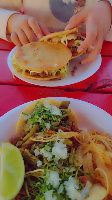 Mi Gorda Street Tacos Picture 2