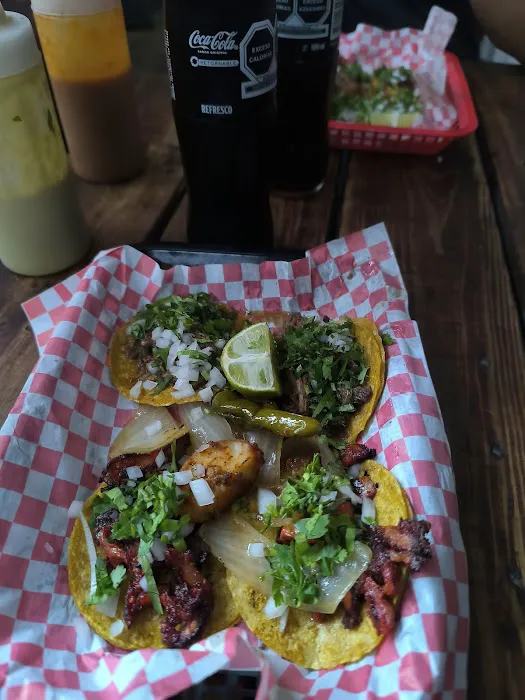 El Patron Del Taco (taqueria) Picture 3
