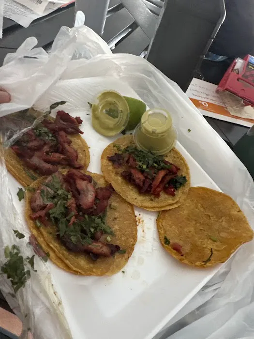 El Patron Del Taco (taqueria) Picture 4