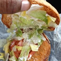 Burger Park ico