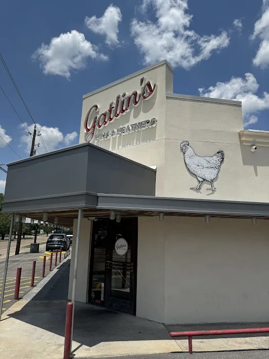 Gatlin's Fins & Feathers Picture 4