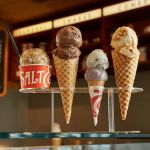 From Street Eats to Fine Dining: Exploring the Best Ice Cream Shops