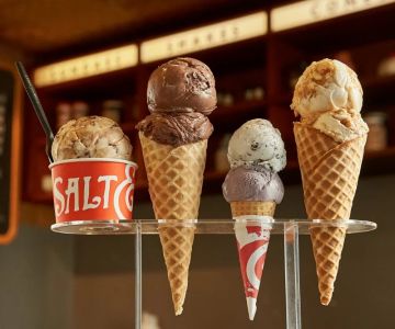 From Street Eats to Fine Dining: Exploring the Best Ice Cream Shops